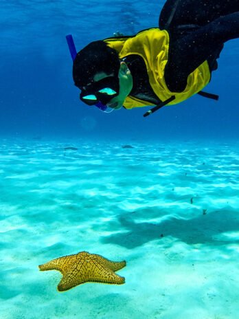 Tour Cozumel en Catamaran & Lunch Menor