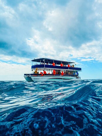 Tour Cozumel Catamaran Aventura Adulto