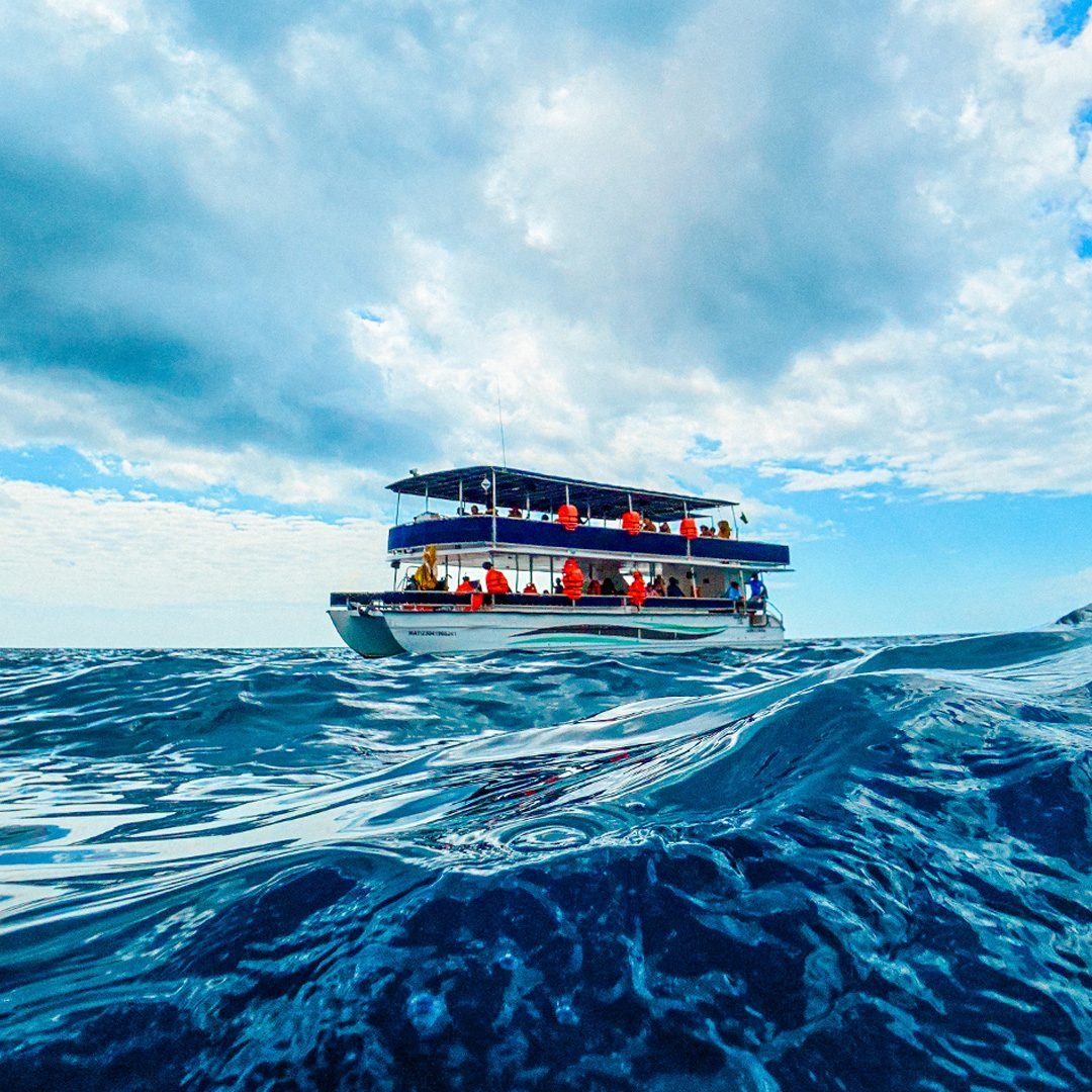 poetada-cataram-aventua