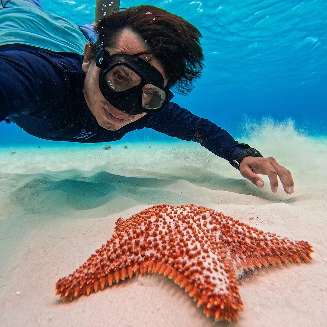 portadalanchacozumel